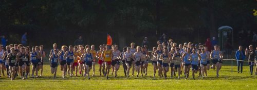 LSC2019XC0151